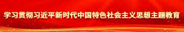 男士插阴视频学习贯彻习近平新时代中国特色社会主义思想主题教育